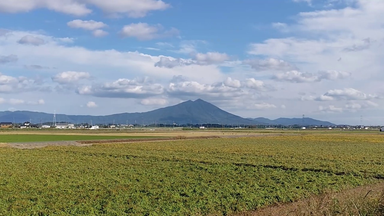 プロジェクト紹介動画